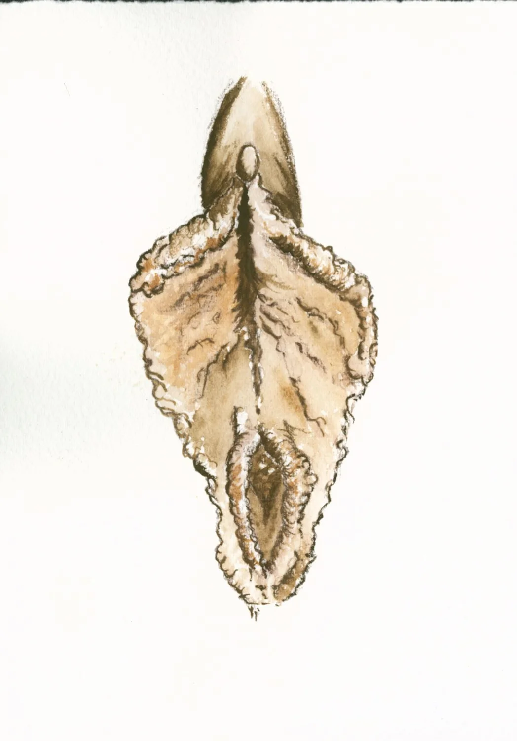 WatercolorRuffles.jpg