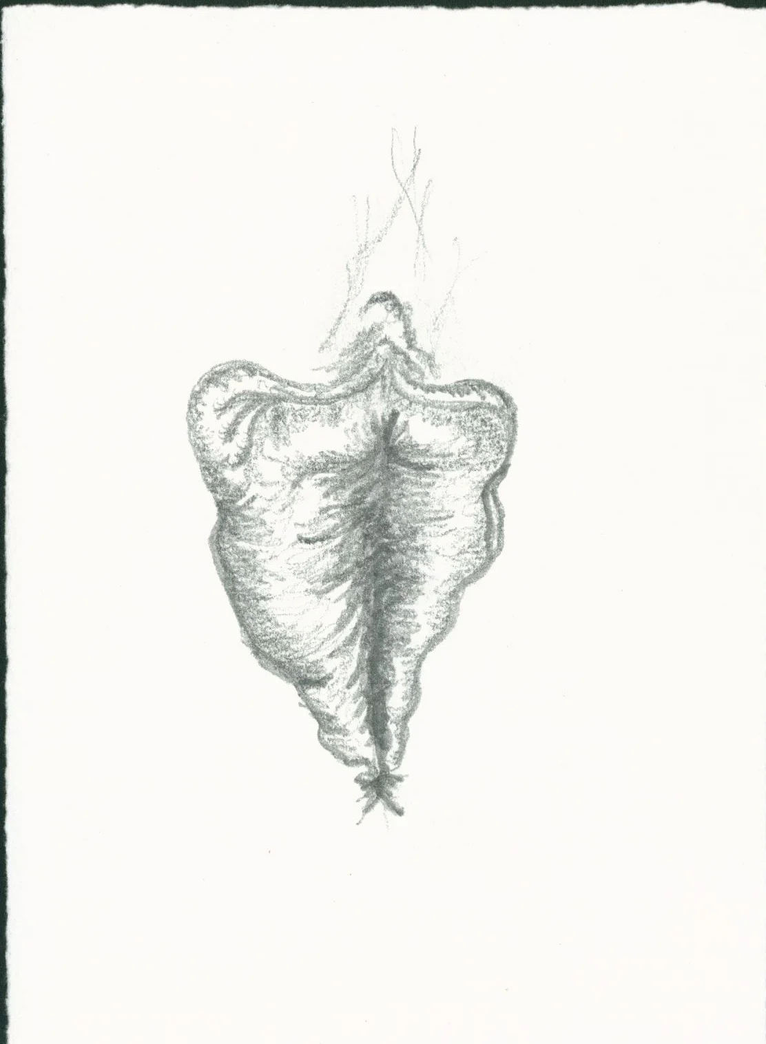 Sketch2.jpg