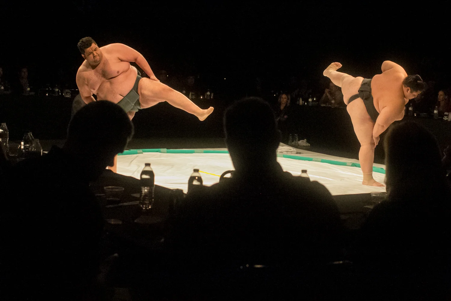 Sumo2016_Edits_077.jpg