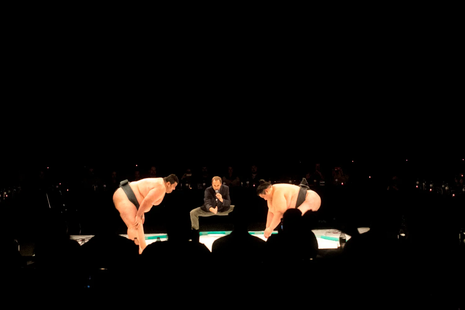 Sumo2016_Edits_009.jpg