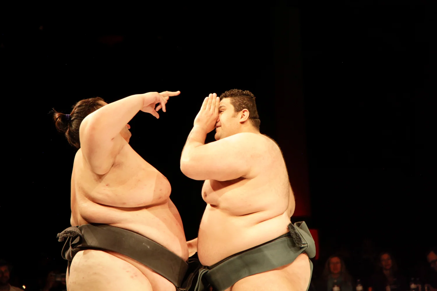 Sumo2016_Edits_005.jpg