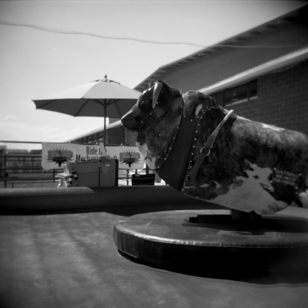 " Mechanical Bull ," by Travis Gray. Licensed under Attribution-NonCommercial 2.0 Generic (CC BY-NC 2.0).