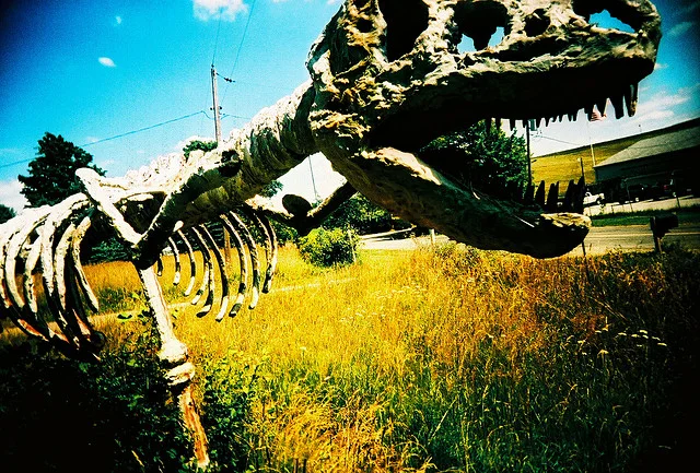 IMAGE2 (" Dinosaur ," by Kevin Dooley. Licensed under Attribution 2.0 Generic (CC BY 2.0).)