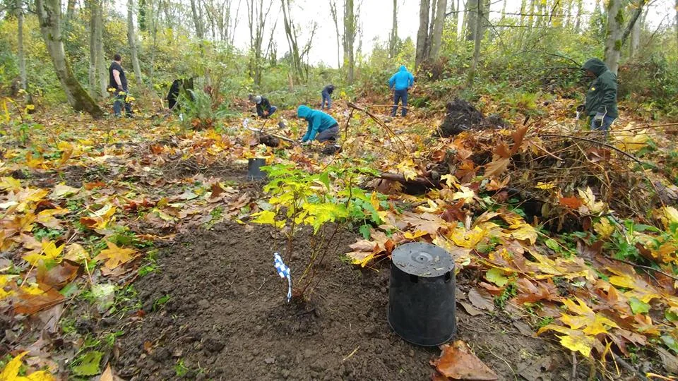 NatureConsortium2.jpg