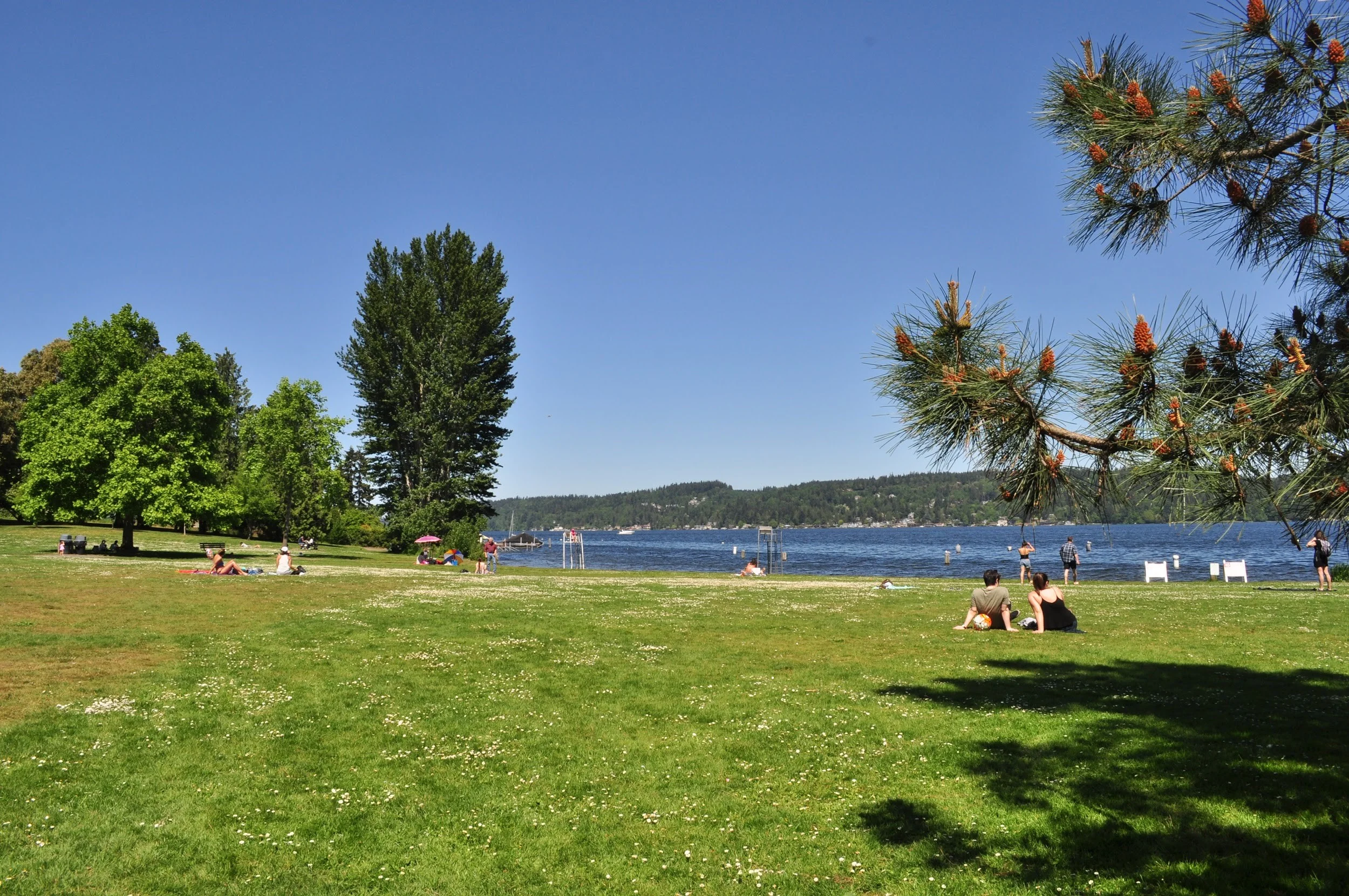 Matthews beach 4.jpg