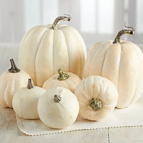 What's Halloween without pumpkins?! Set of 7 artificial pumpkins - $27.99