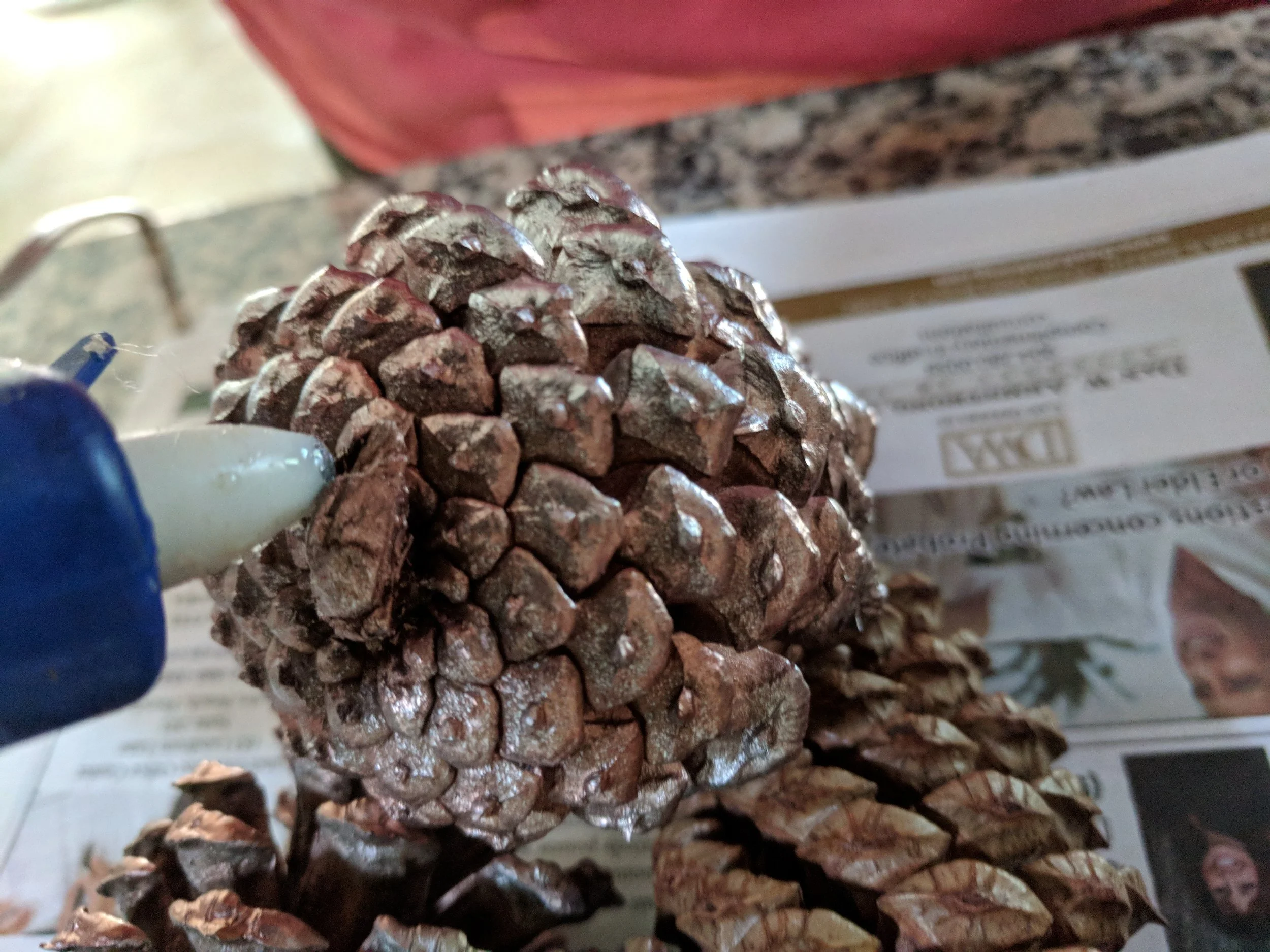 Start by applying a dollop of hot glue on the tops of your pine cone.