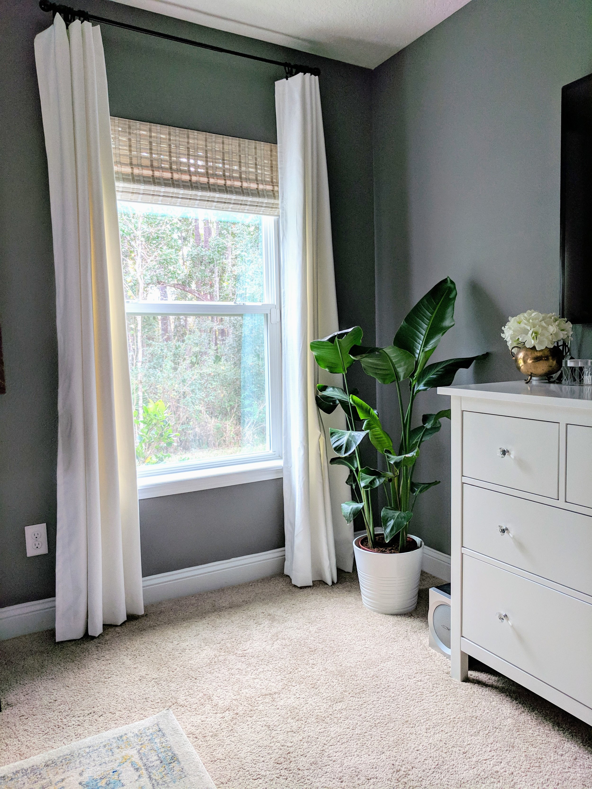 decorating with plants