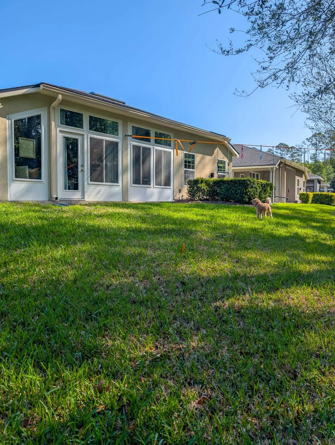 Tackling Our Largest Project Yet: The Backyard Transformation