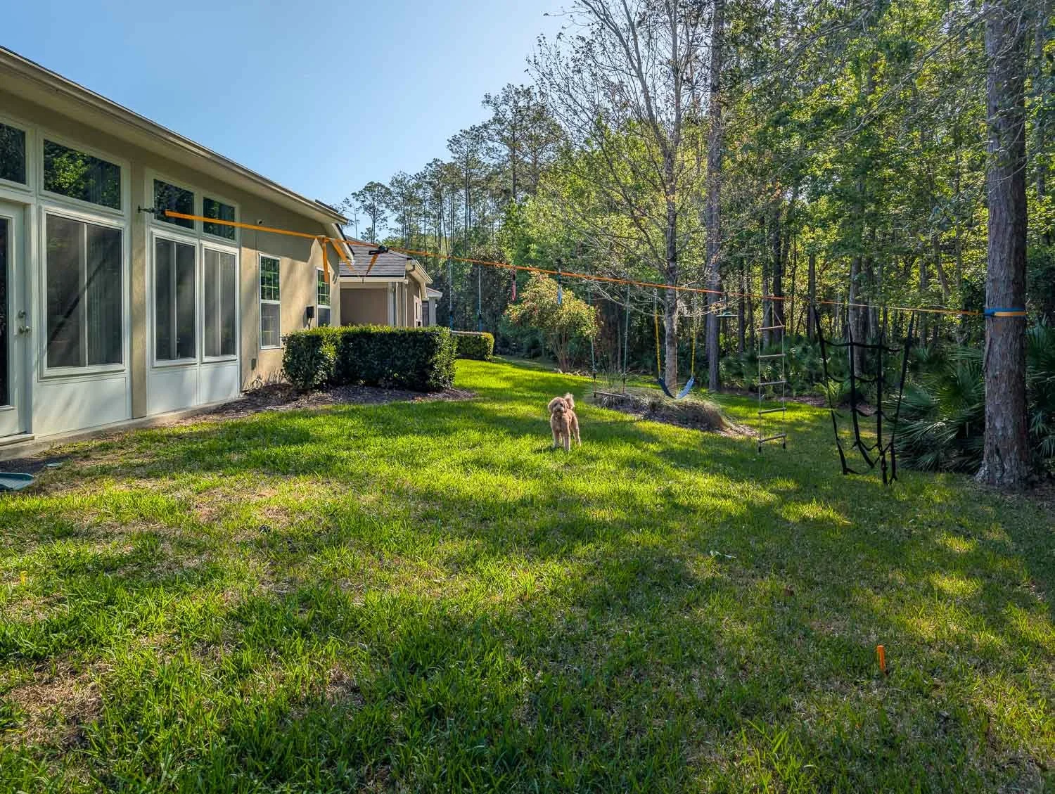 A sloped yard with green grass in Ponte Vedra, Florida.