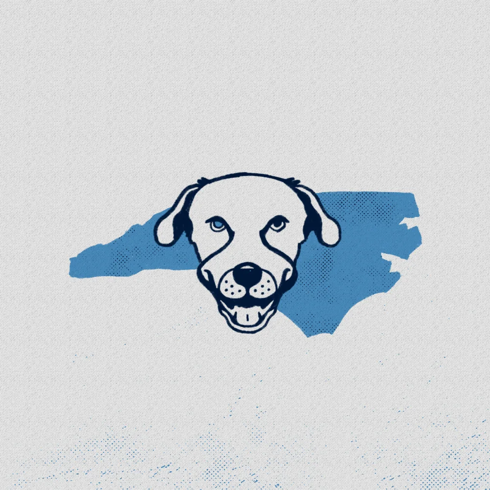 Frank_NC-IG.jpg