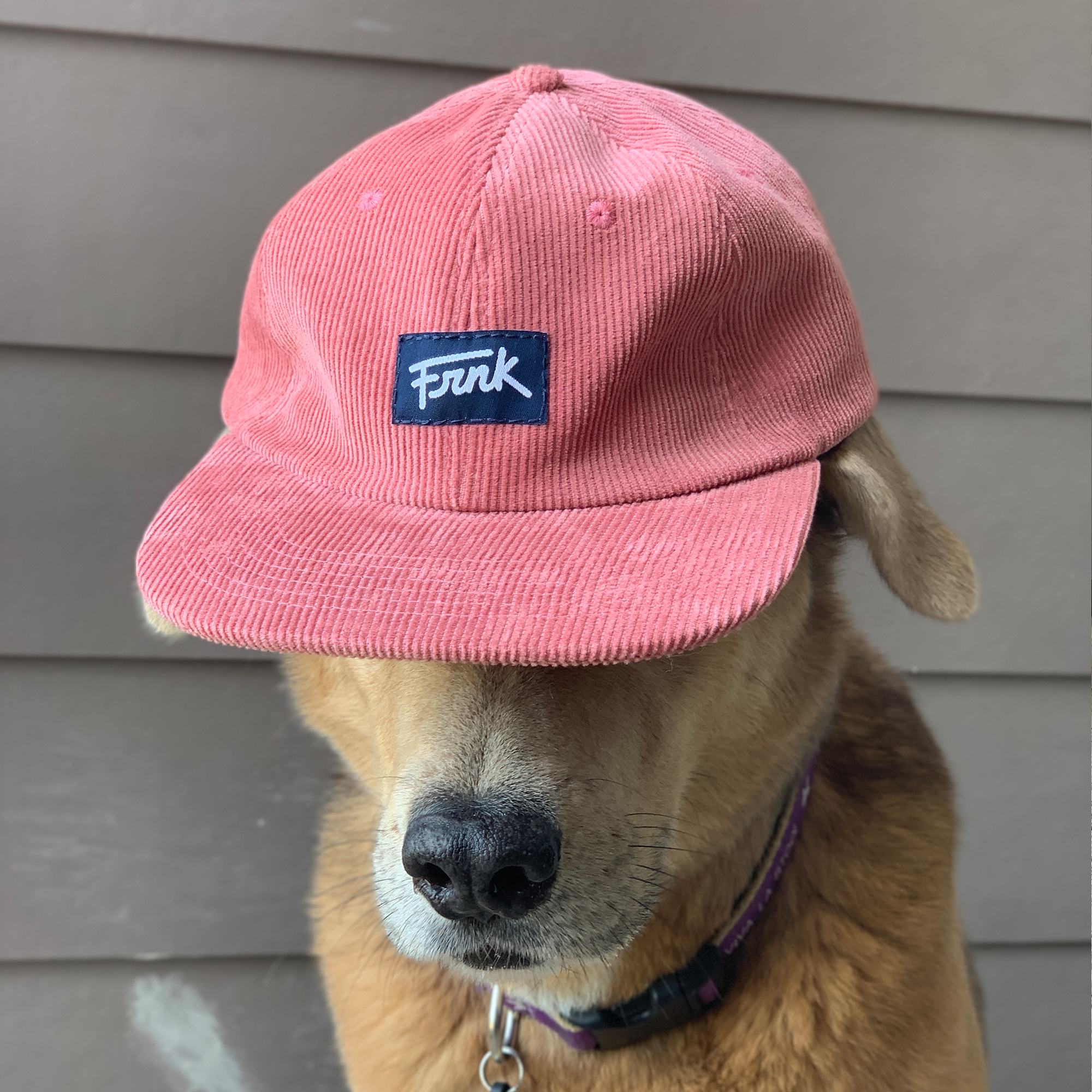 RedFront-Frank.jpg