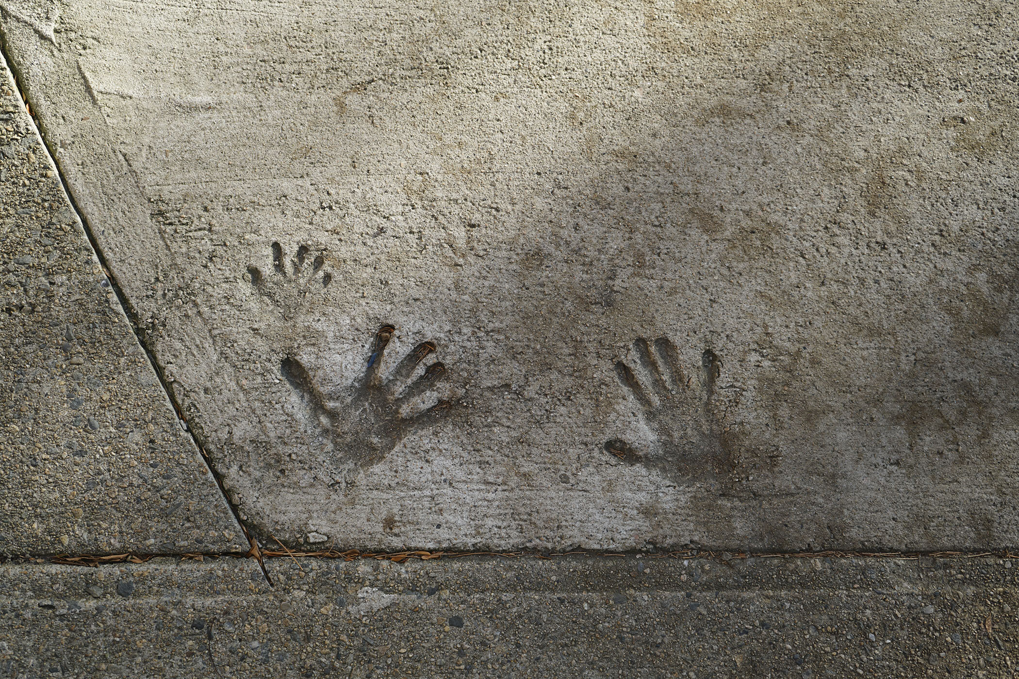 sidewalk hand prints.jpg