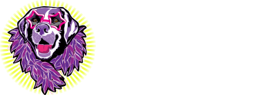 Dog Walker Seattle - Off Leash Parks Seattle - Seattle Walk Stars - Best Pet Care in Seattle