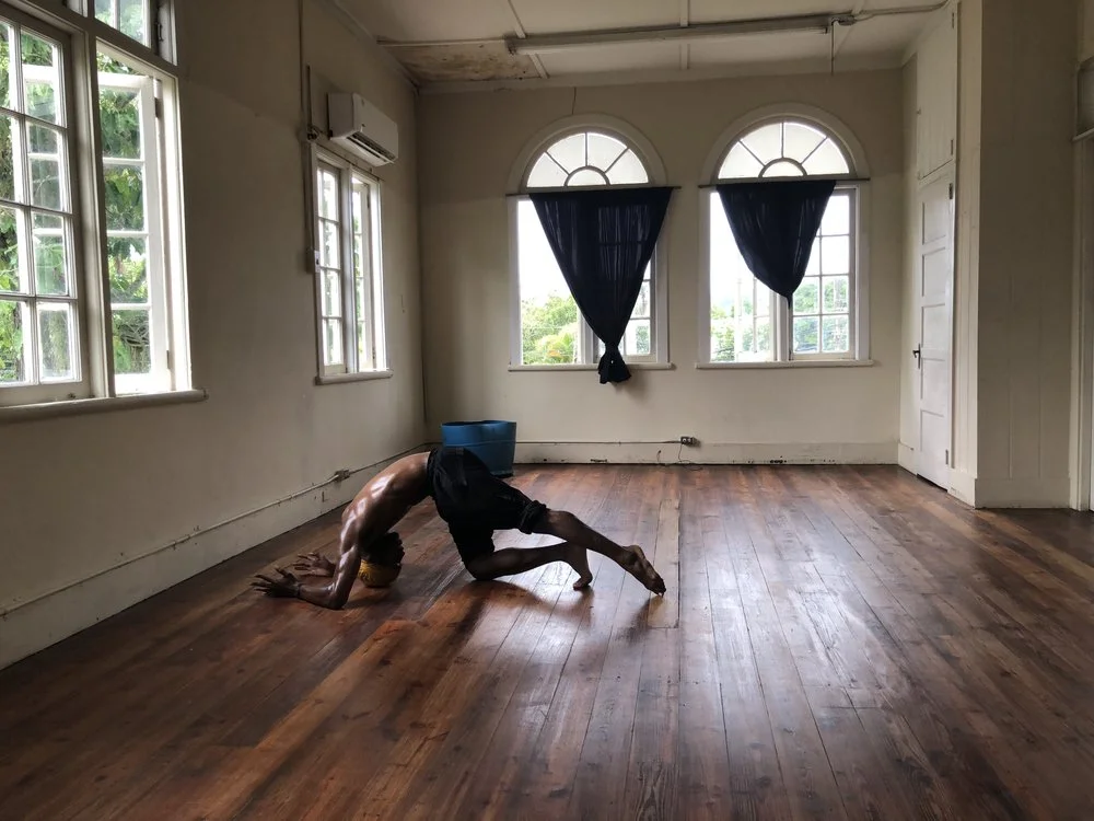 J. Bouey: Chiron in Leo (excerpt)