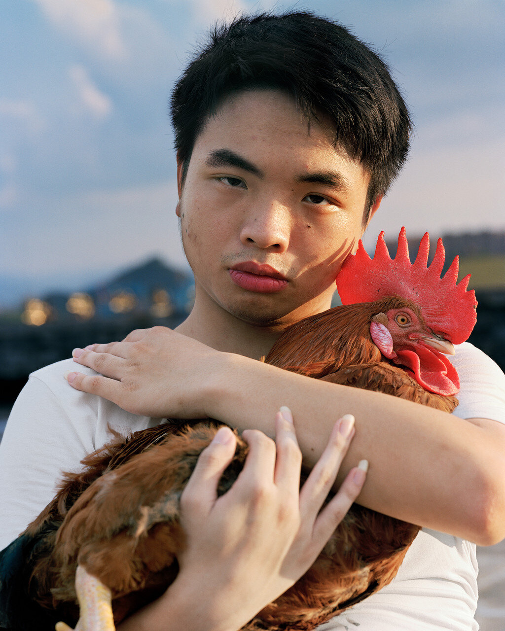 "Boy with Rooster" (2019)