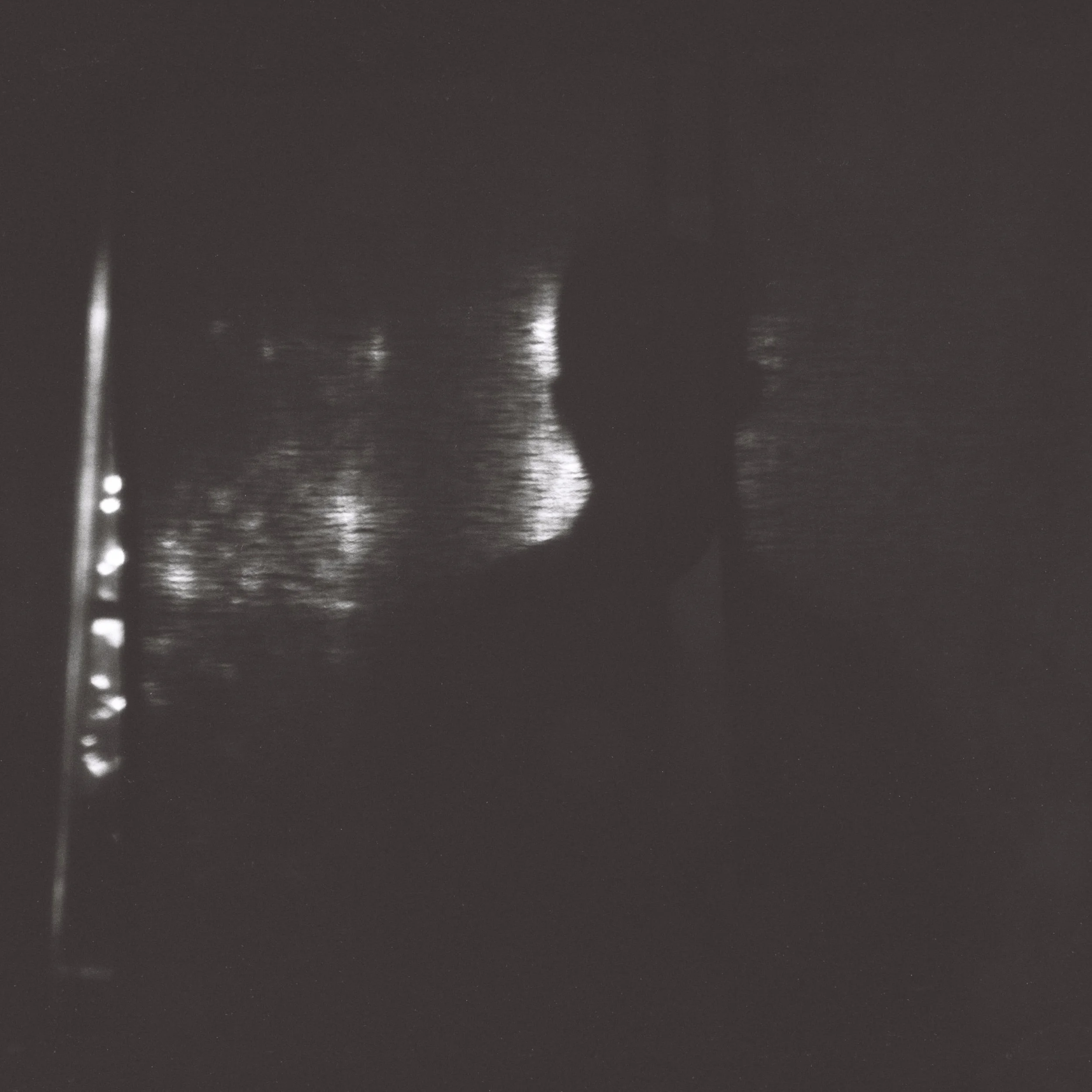 agustine zegers (Visual Art)