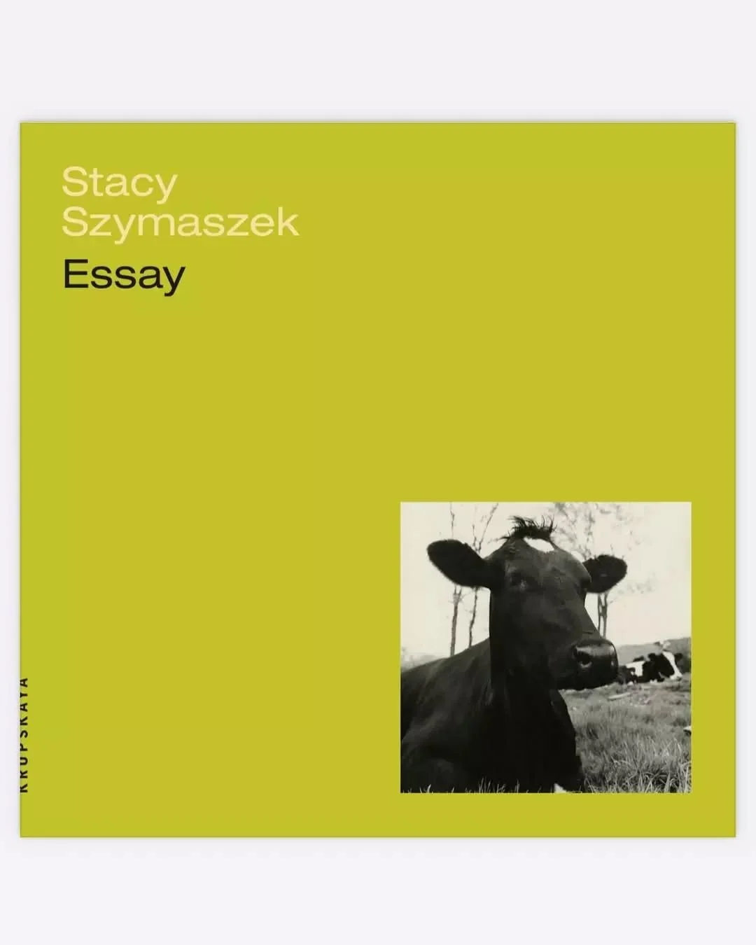 NEW BOOK ALERT: &quot;Essay,&quot; a new book of poems by Multi-Year QAM Mentor Stacy Szymaszek! @szymszk's life among dairy cows in the Hudson Valley becomes the site of radical tenderness and critique. The book grapples with the romantic idea of th
