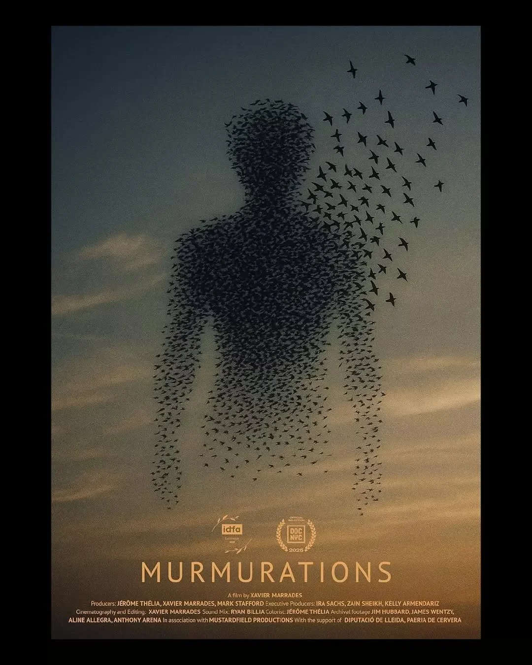 MONDAY: It's the North American premiere of the new short documentary, &quot;MURMURATIONS,&quot; by 2012 QAM Fellow Xavier Marrades! The film premieres at @docnycfest on Monday, November 17th at 9:30 PM; tickets at www.docnyc.net 🎟️ ⁣
⁣
Isolated dur