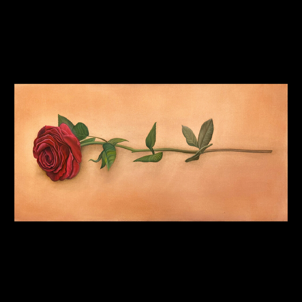 Y esta Rosa? (2025) by Chris Cortez
