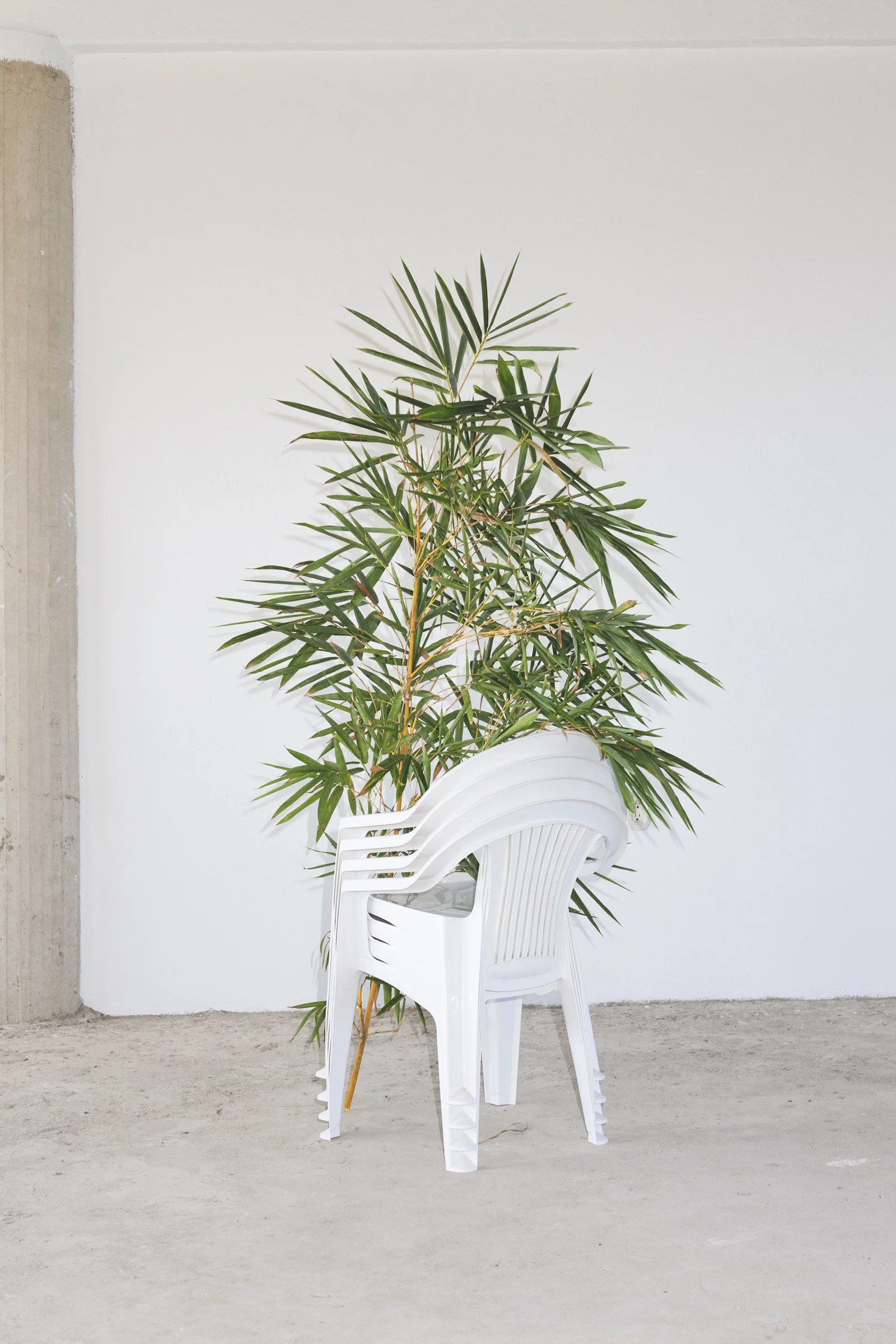 Seated Position