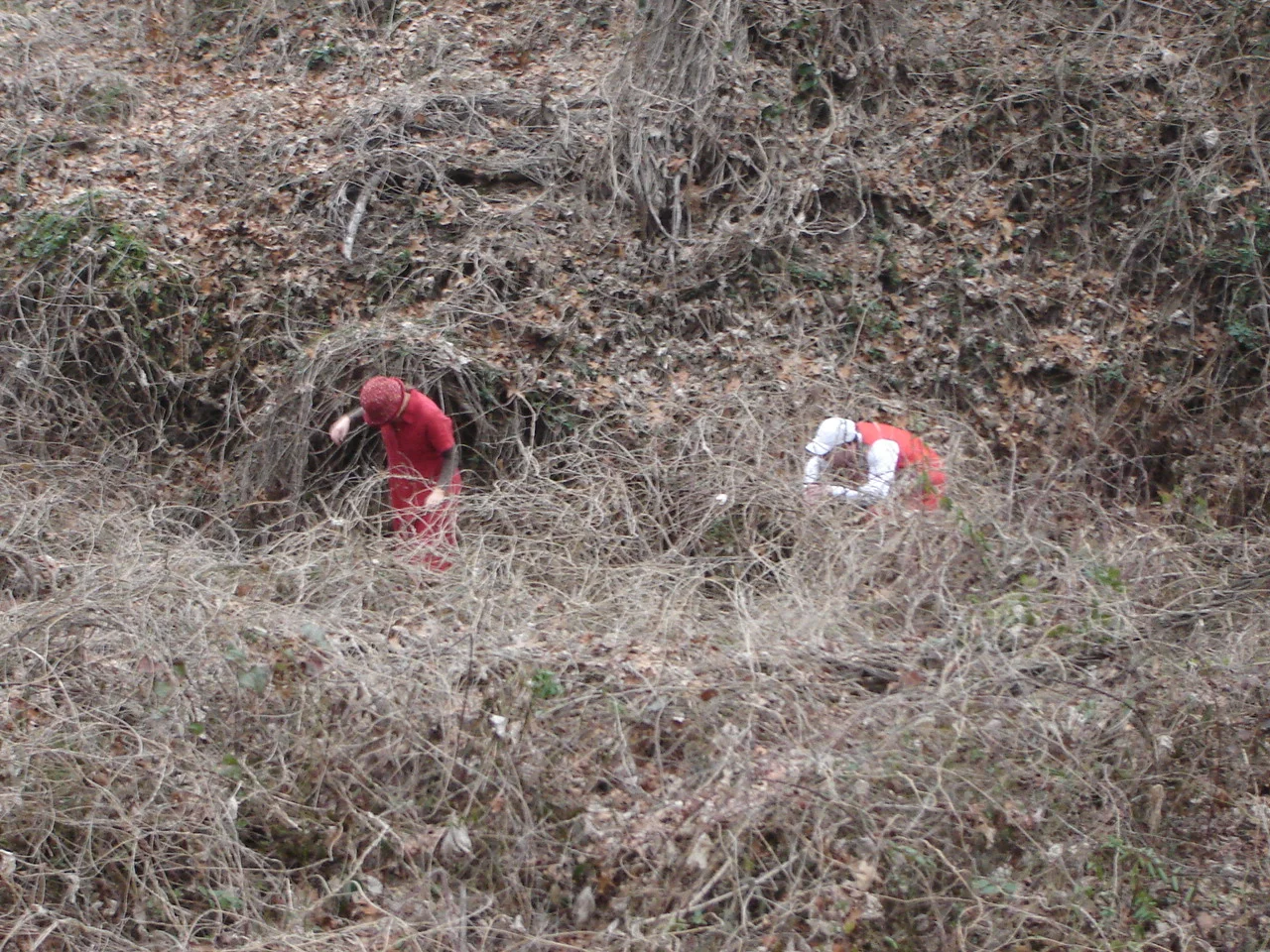 DSC07891.jpg