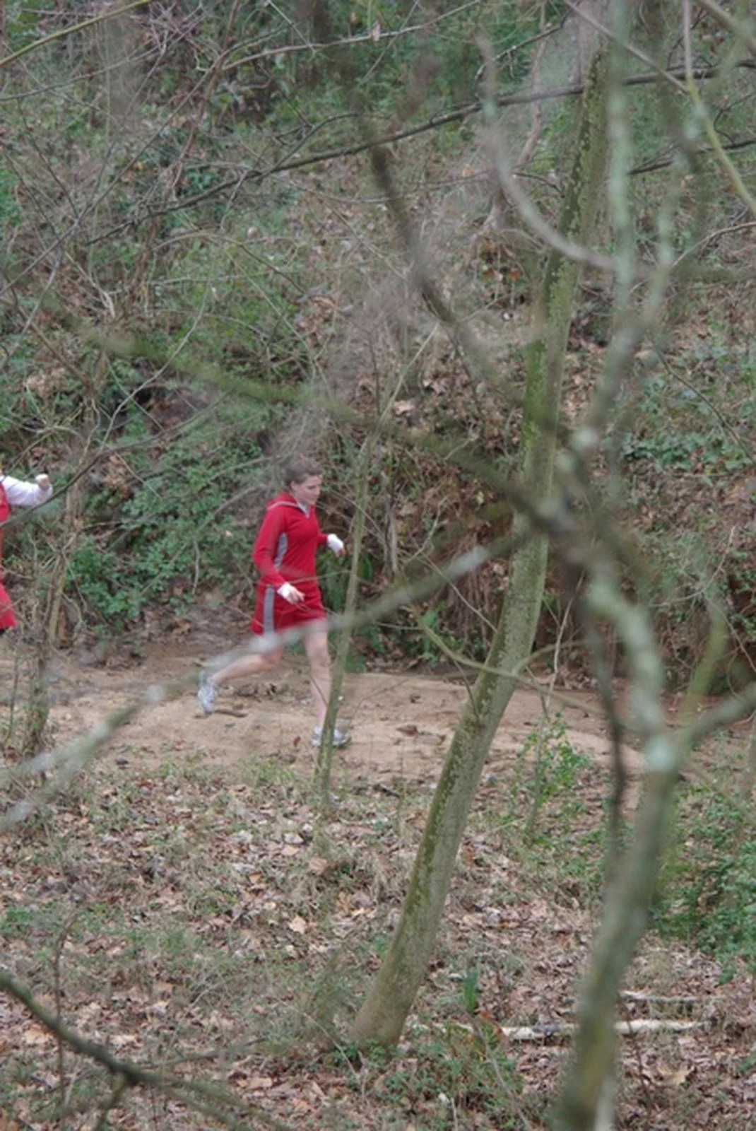 Red Dress 2008235.jpg