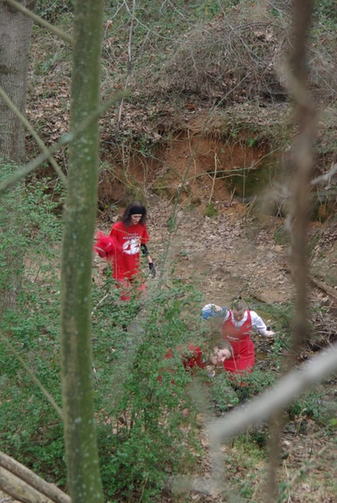 Red Dress 2008239.jpg