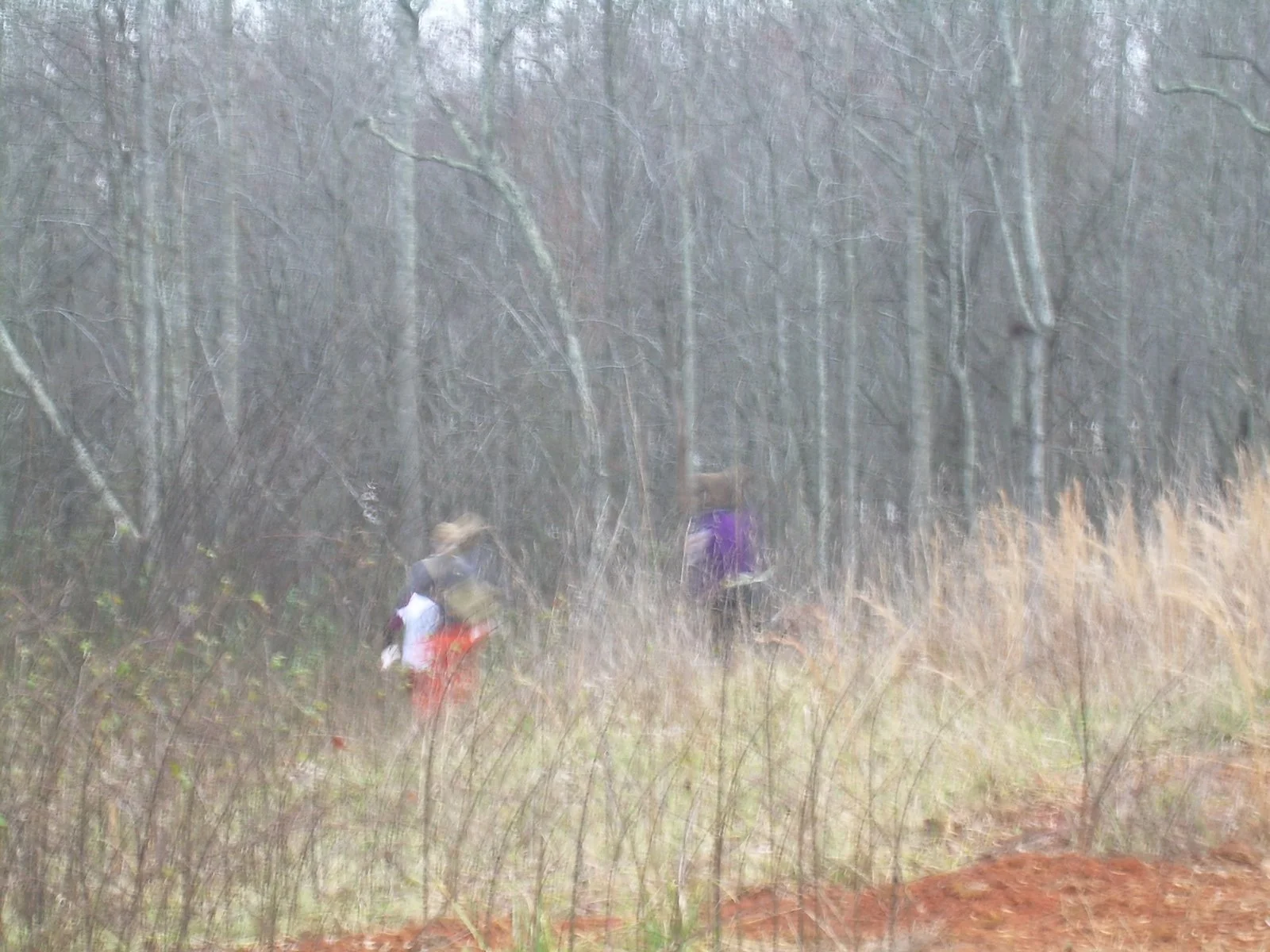 DSCN1319.jpg
