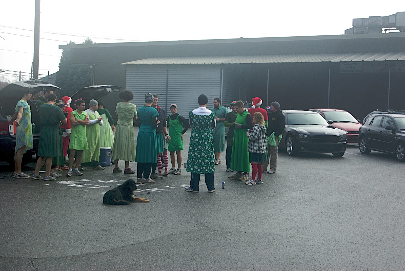 GreenDress2009 291.jpg