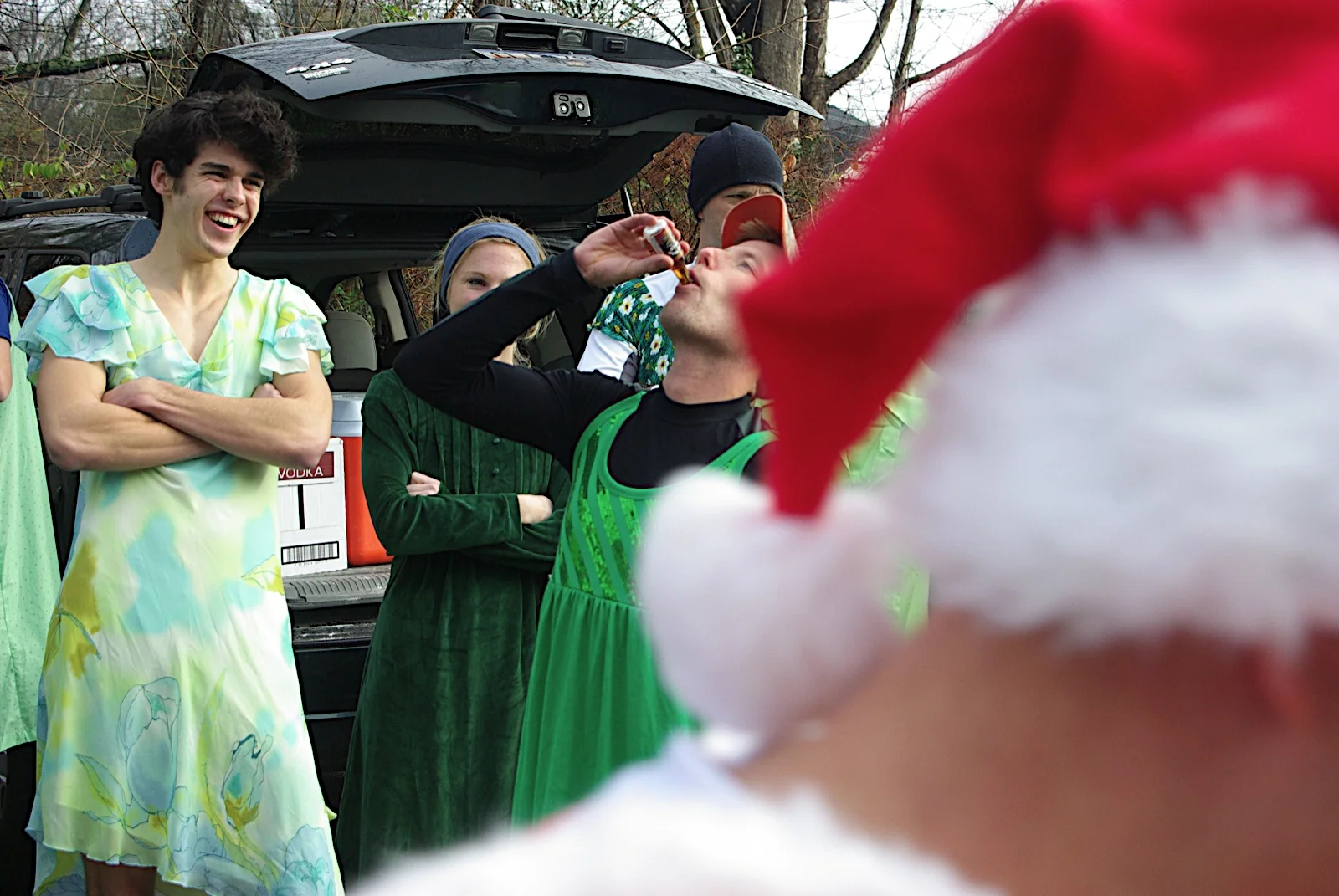 GreenDress2009 300.jpg