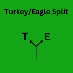 TurkeyEagle.png