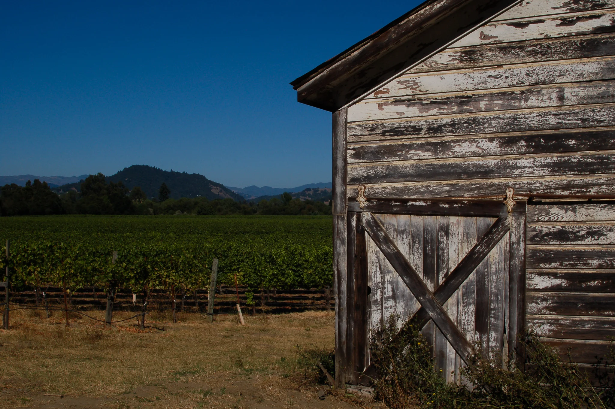 Barn Door