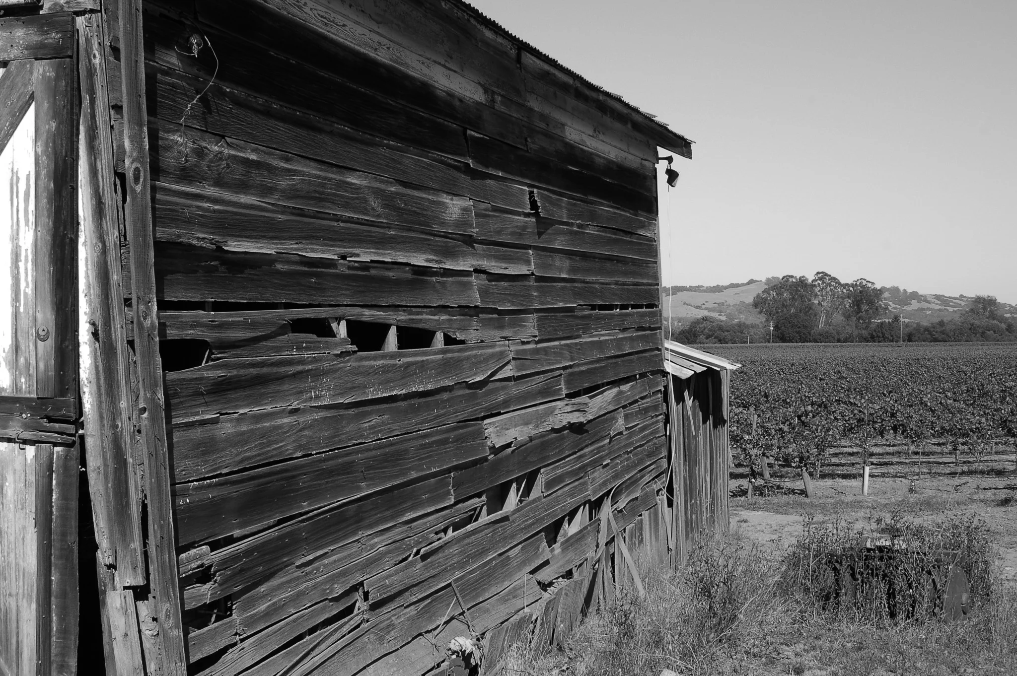 Black and White Barn Side