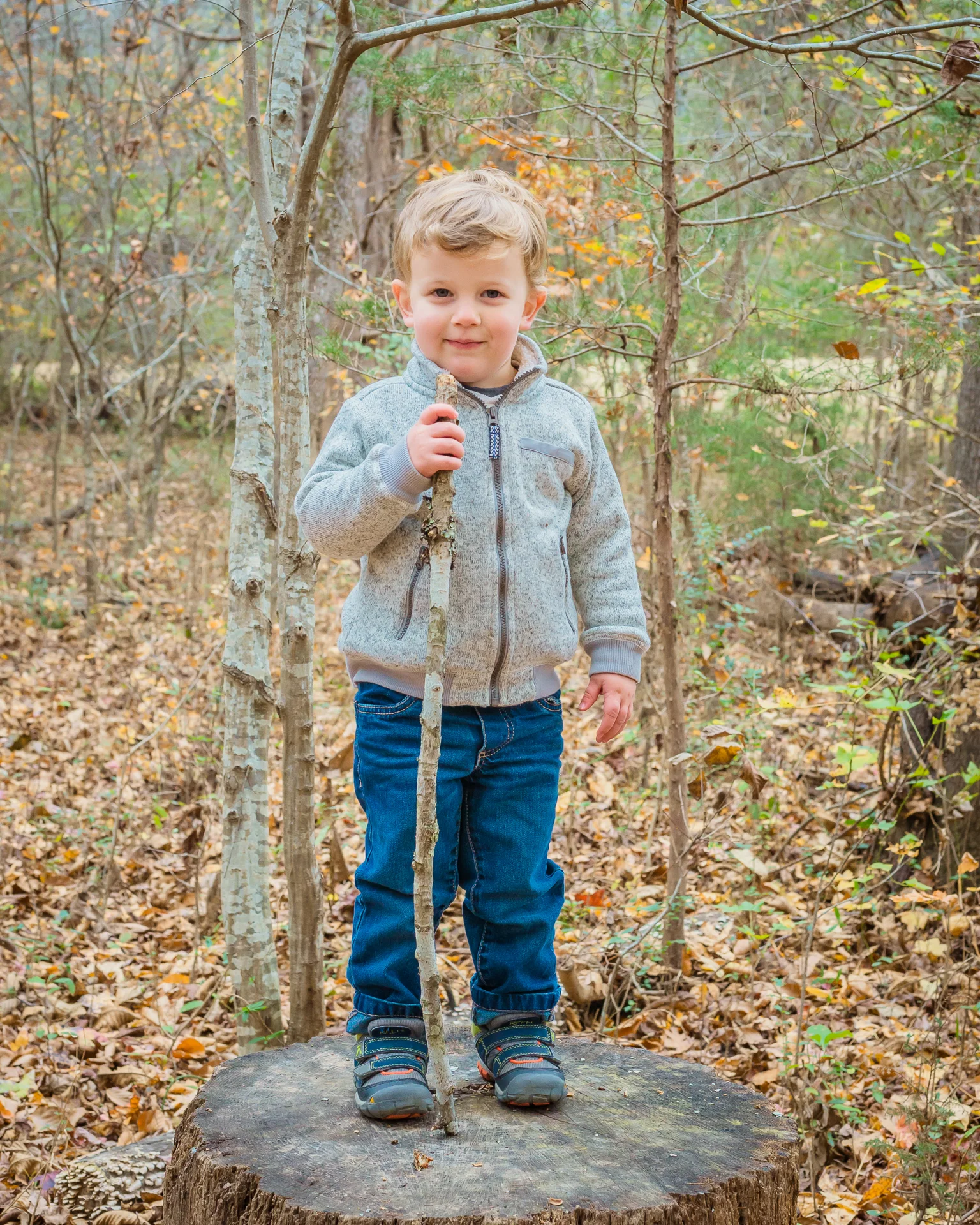 Walking Stick