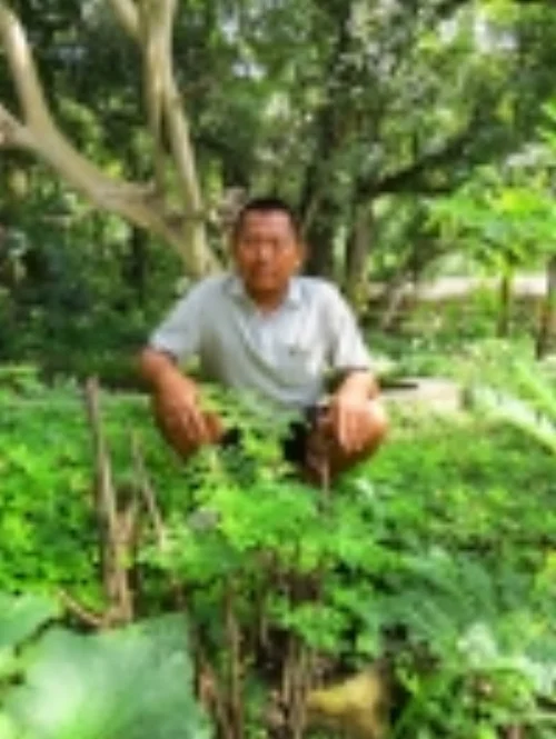 My host dad, Saha bir Thapa, with our newly planted Moringa tree.