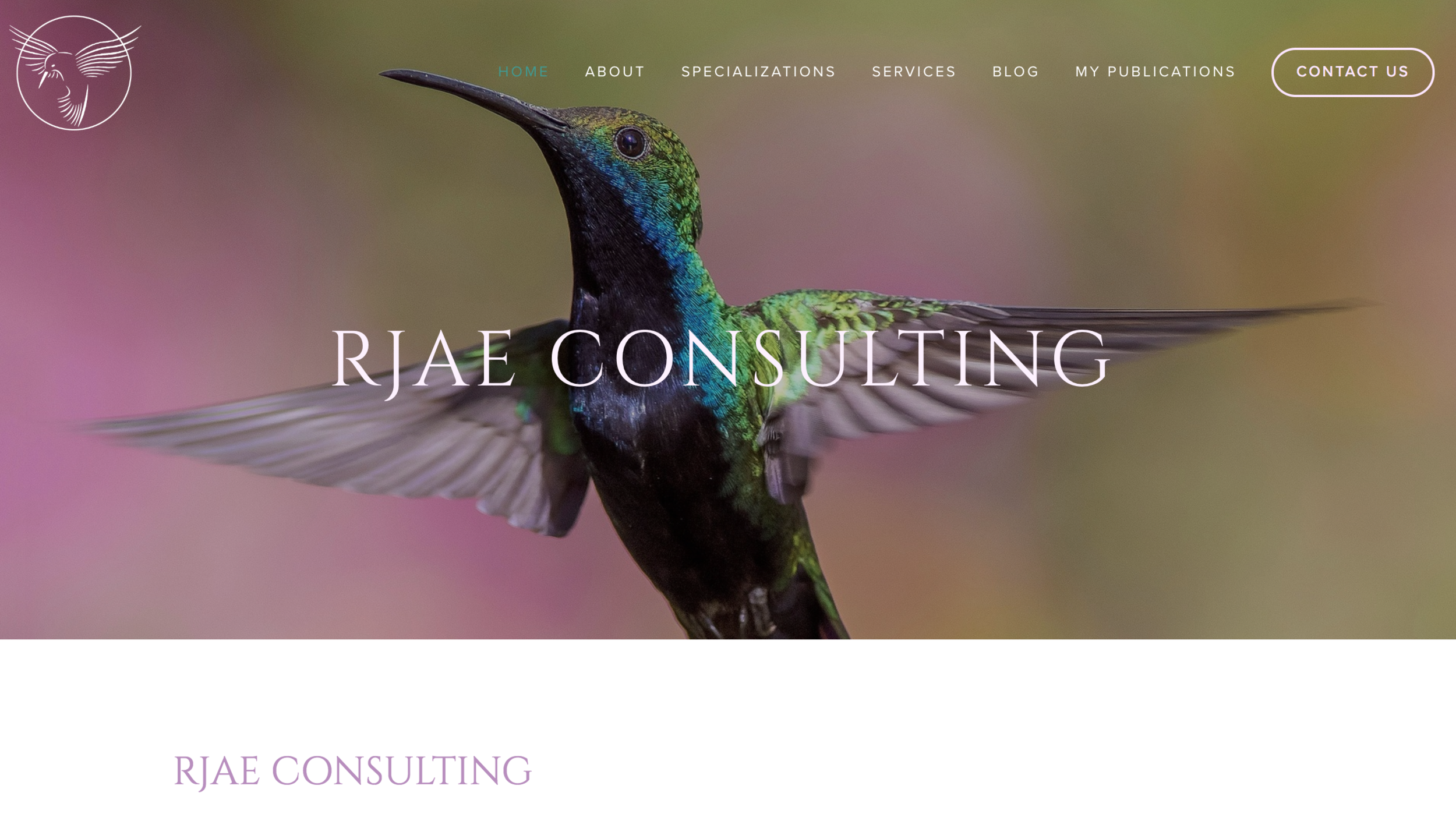 rjae-consulting