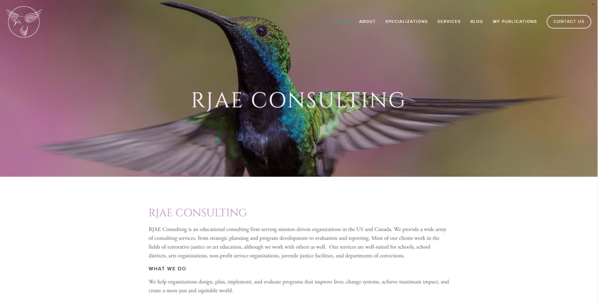 Professional Services: Author In Restorative Justice Reform; Website With Forum