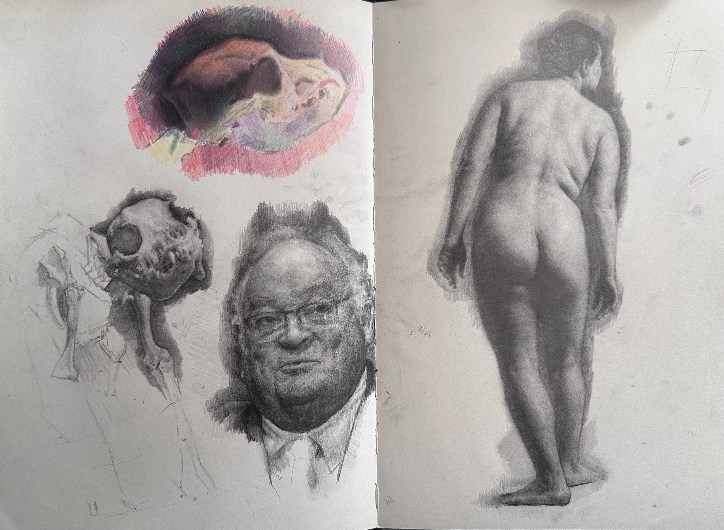 Graphite and Colored Pencil on Moleskine