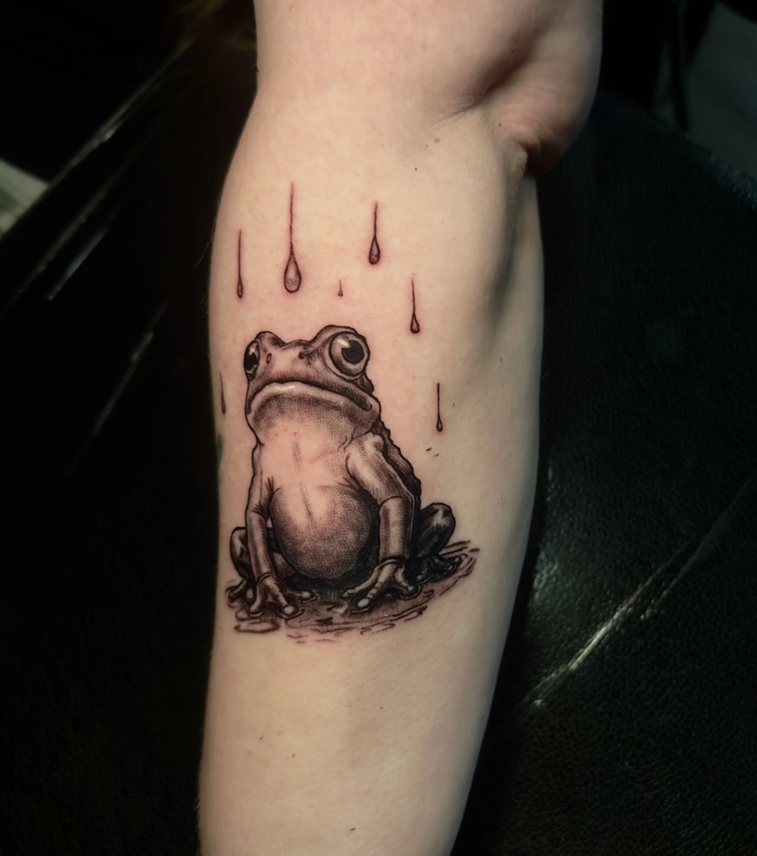 Frog in Rain