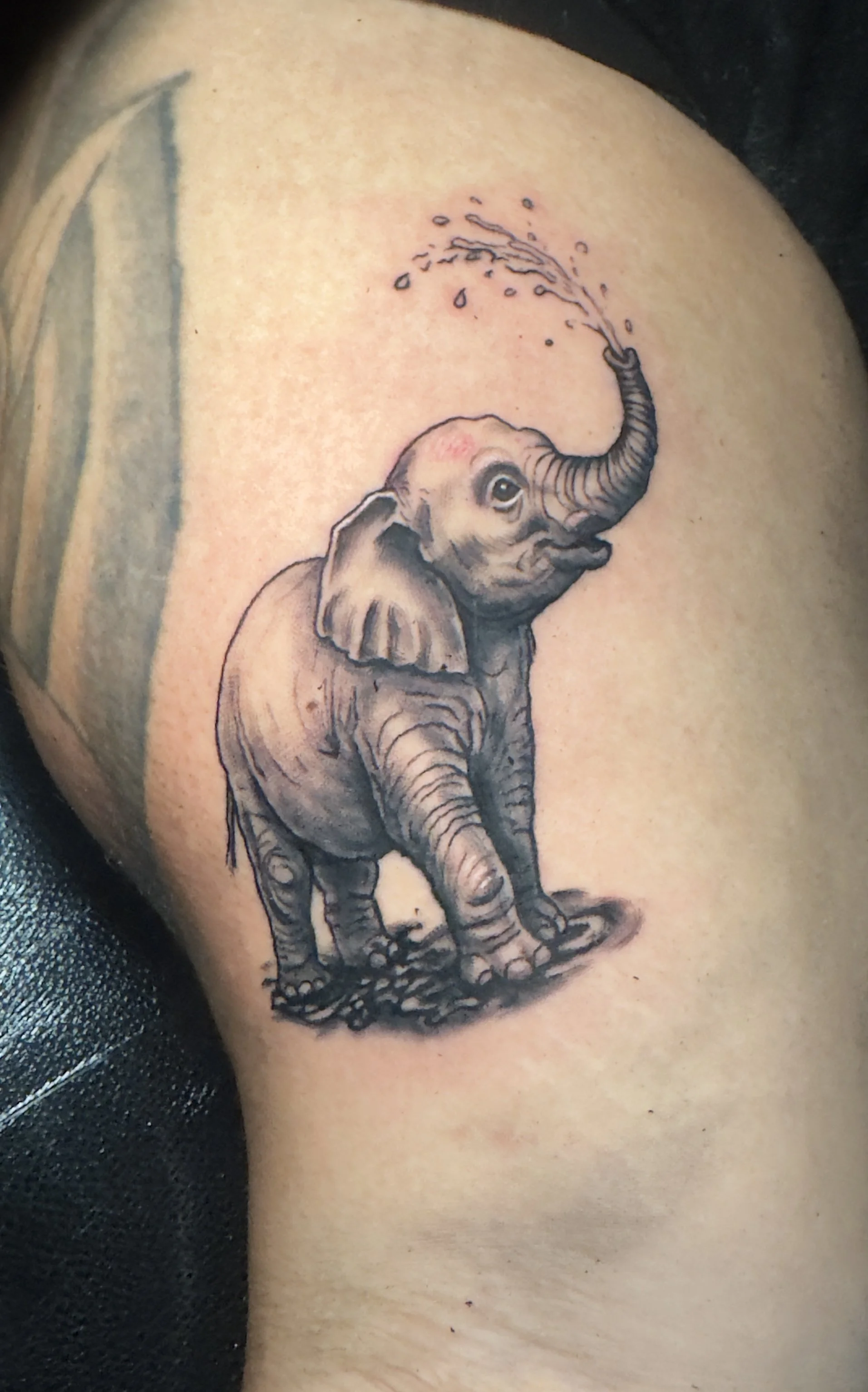 Elephant