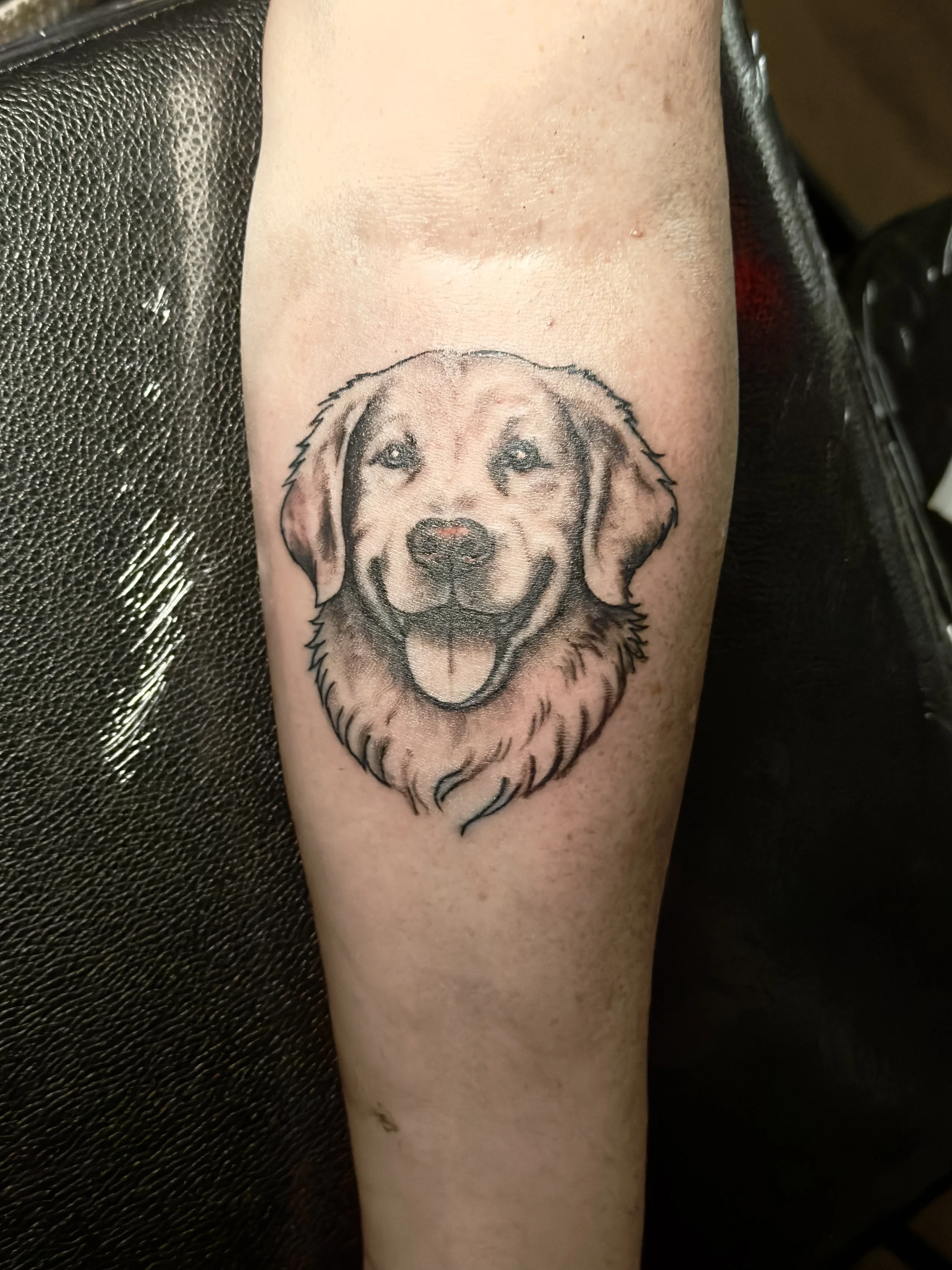 Dog Portrait