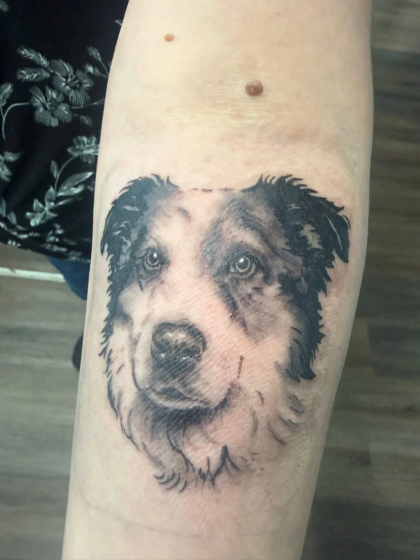 Dog Portrait