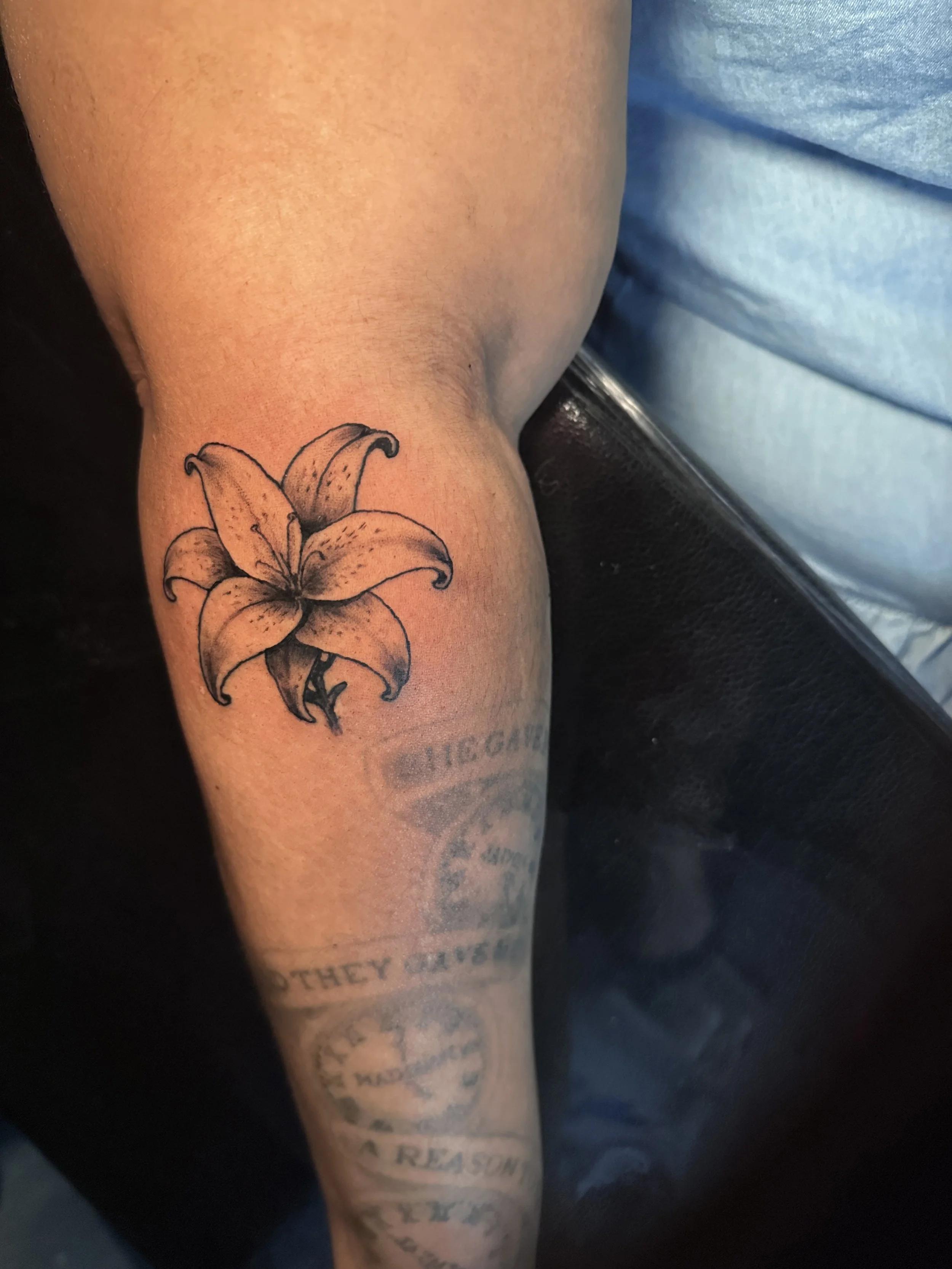 Orchid