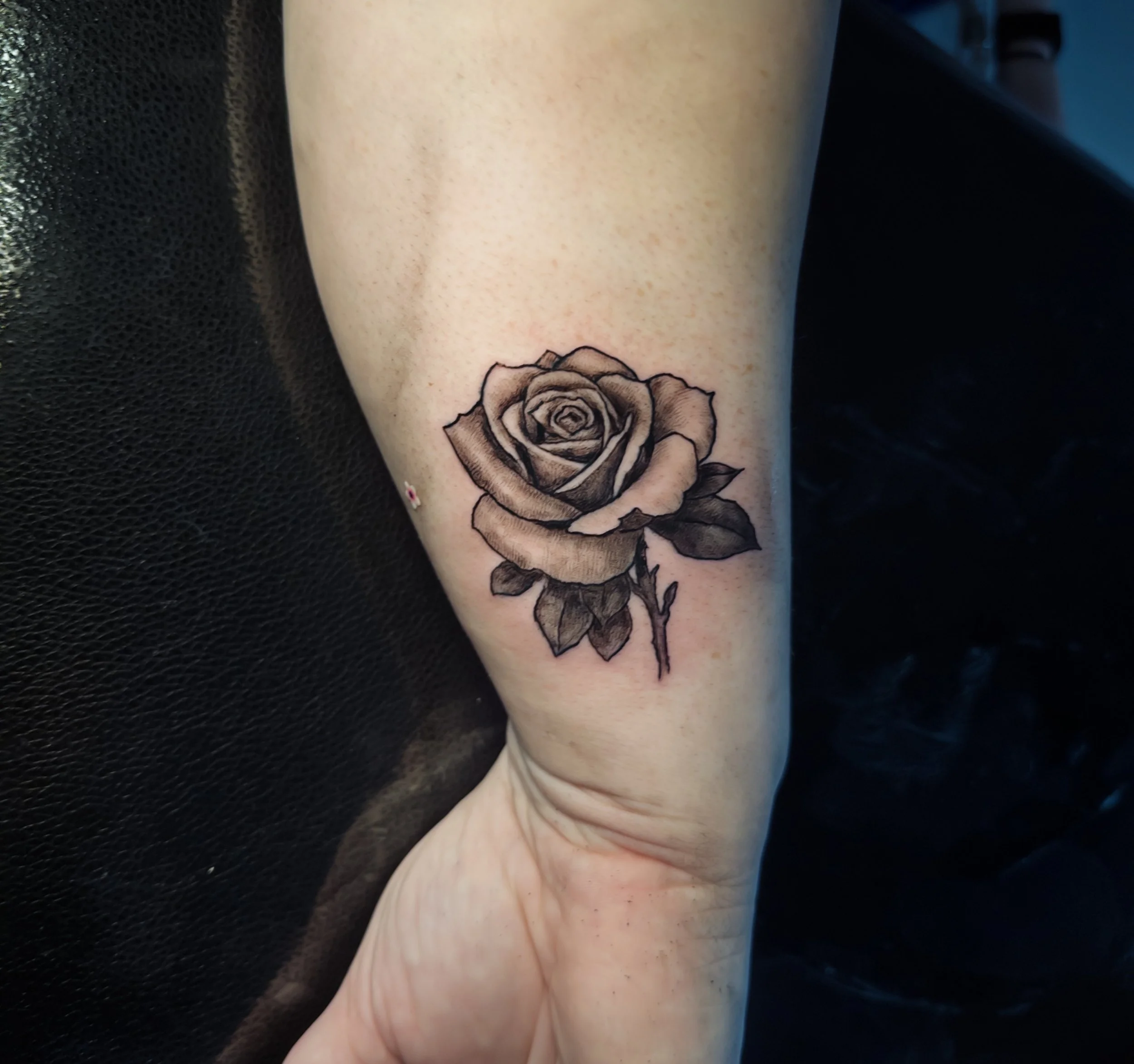Rose