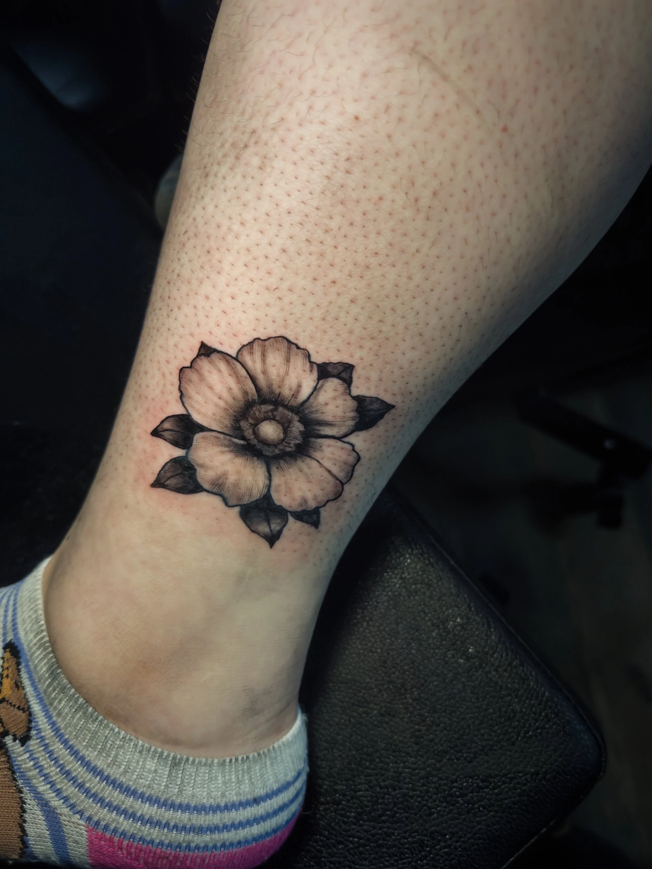 Flower