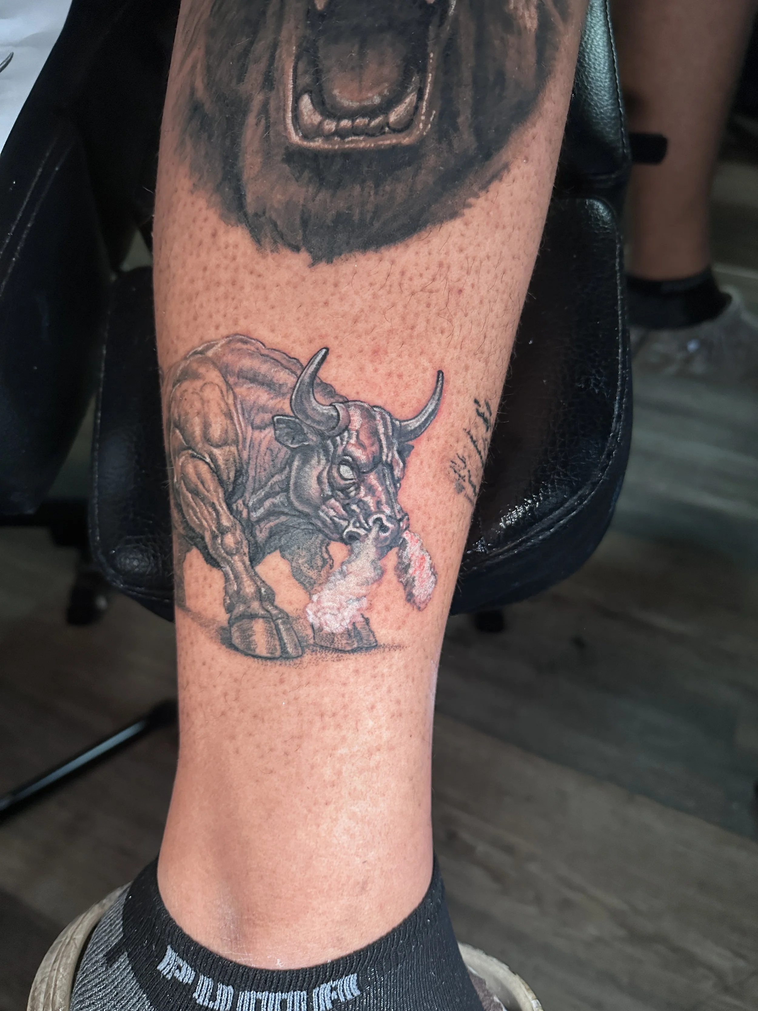 Bull: Second session