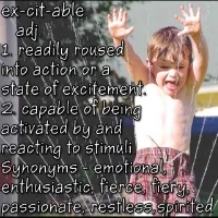 Excitable - definition