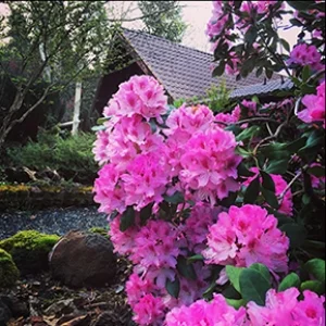 Spring has Sprung!