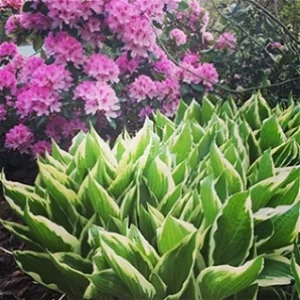 Spring has Sprung!